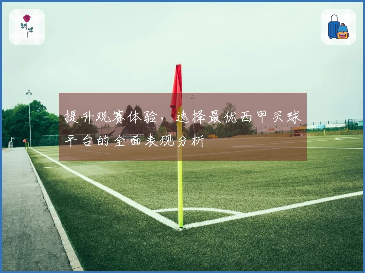 提升观赛体验，选择最优西甲买球平台的全面表现分析