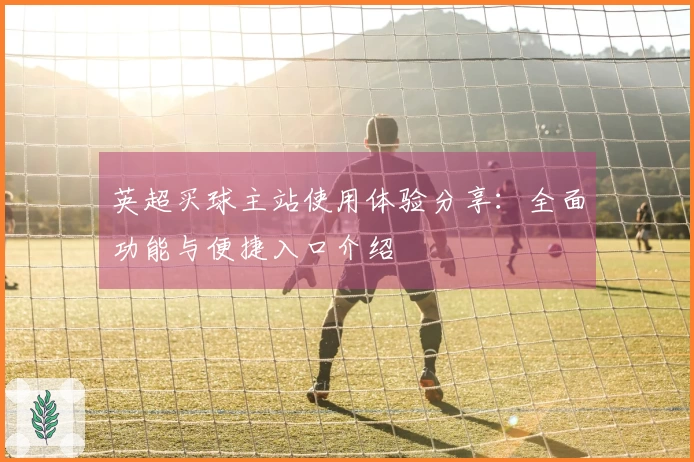英超买球主站使用体验分享：全面功能与便捷入口介绍