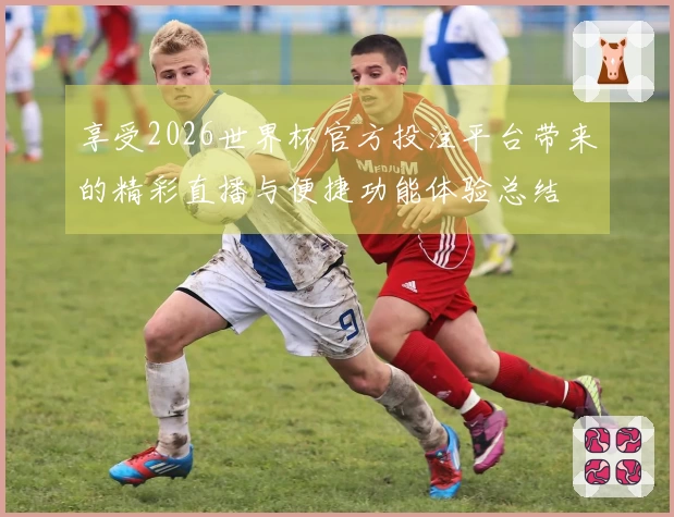 享受2026世界杯官方投注平台带来的精彩直播与便捷功能体验总结